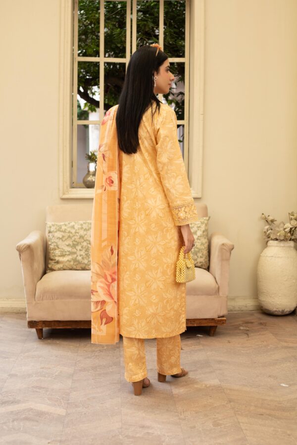 Comfy Wear 3pc Cotton – Casual & Semi-Formal Style - Image 2