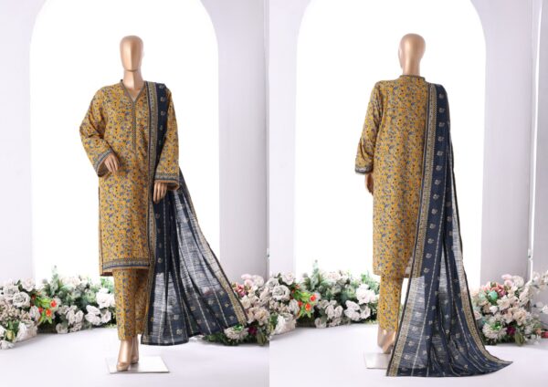 Bin Saeed 3pc Printed Khaddar - Image 3