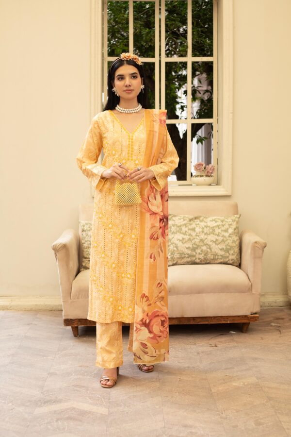 Comfy Wear 3pc Cotton – Casual & Semi-Formal Style