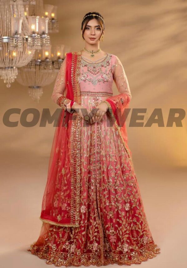 Rosé Glow Embroidered Net Anarkali with Red Dupatta